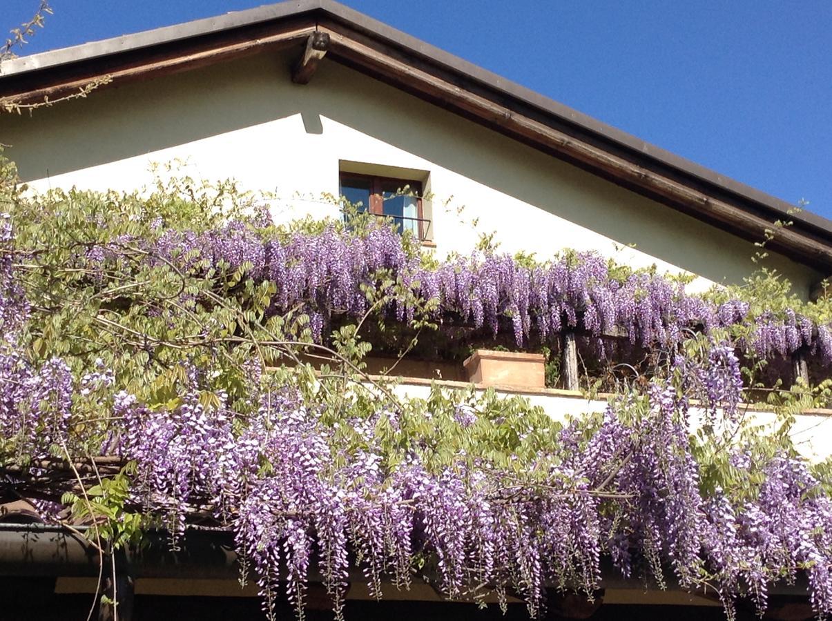 Casa Tentoni - Guest House Misano Adriatico Exterior foto